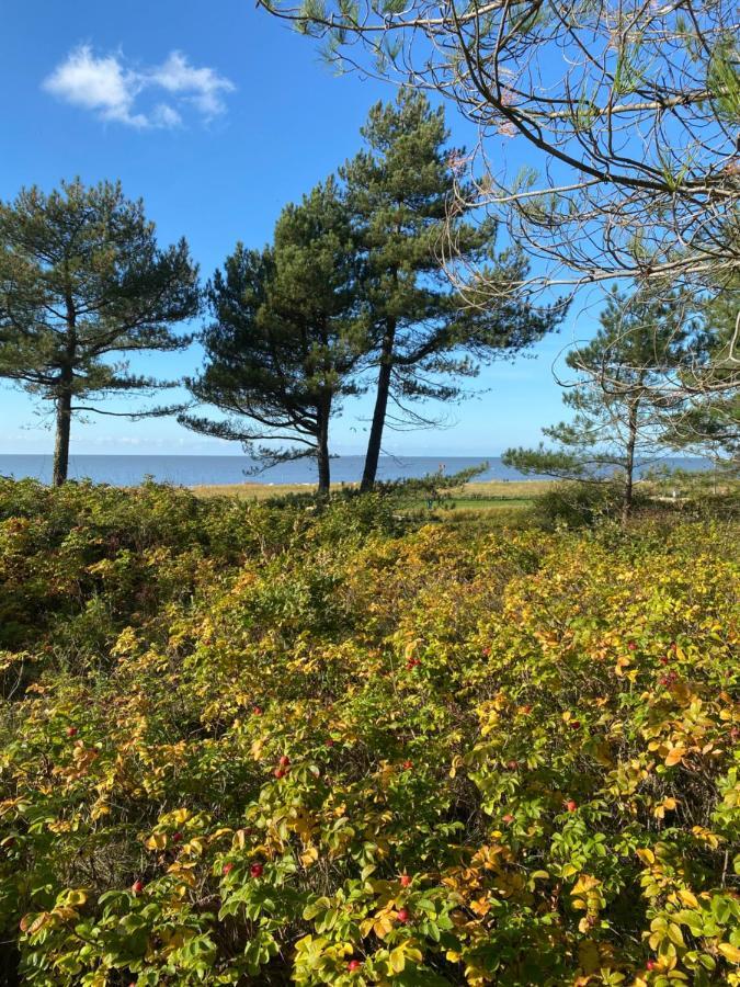 Altes Pastorenhus - Land Und Meer Osterbruch Eksteriør billede